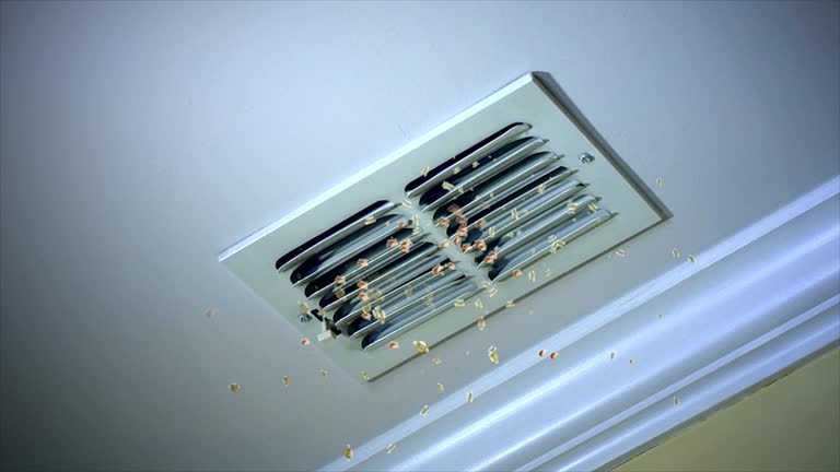 Best Ventilation Cleaning Services  in Heritage Lake, IL